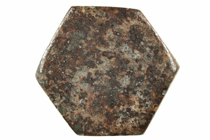 Stony Chondrite Cabochon ( grams) - Meteorite #238205